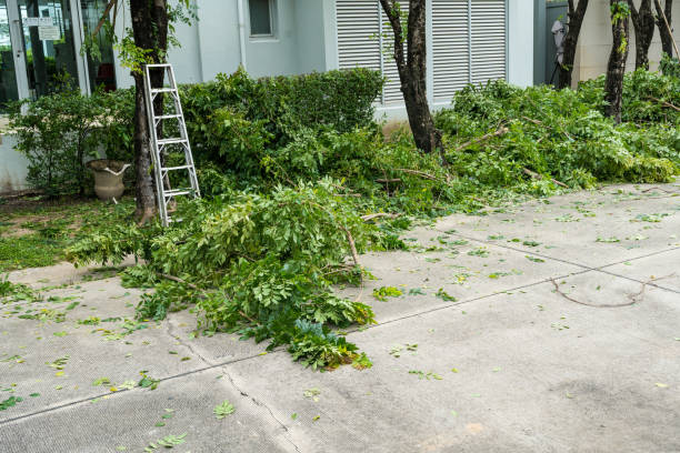 Best Hedge Trimming  in Suncoast Estates, FL