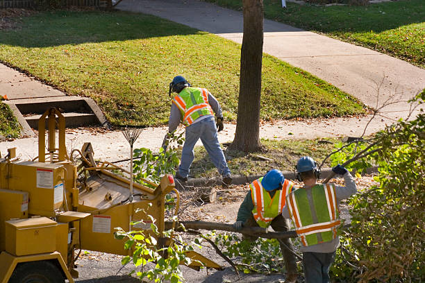 Best Lawn Mowing Services  in Suncoast Estates, FL